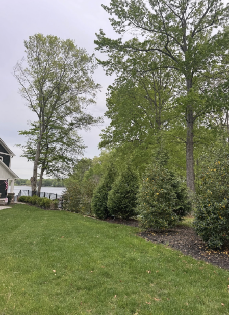 The freshly bloomed trees in the front yard sway as the breeze hits them.
